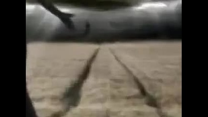 Crematory - Fly