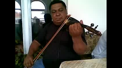 Bobi 