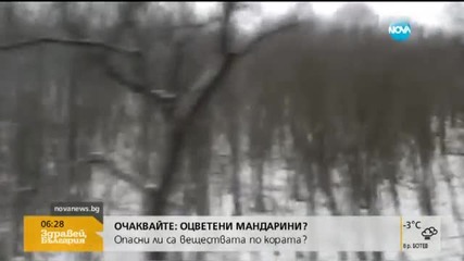 Жълт и оранжев код за поледици в пет области