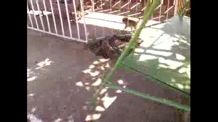 Лекси си играе на чешмата .. *смях*