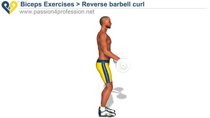 Arms exercises - Forearm 2