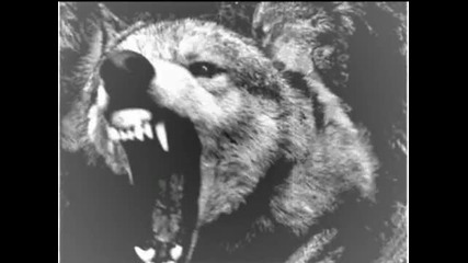 Moonspell - Fullmoon Madness