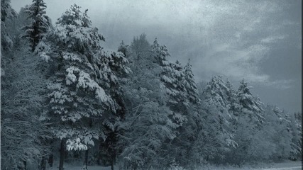 Winter Heart - Last Days Here