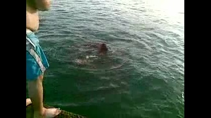 Neveroqtna chupka
