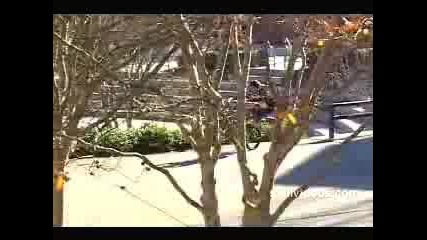 Bmx Video