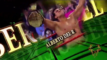 Wwe Money In The Bank 2013 Match Card Alberto Del Rio vs Dolph Ziggler
