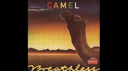 Camel - Echoes