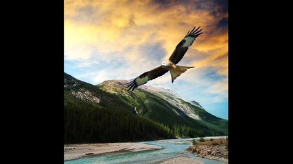 Day of an eagle