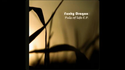 Funky Dragon - Puls Of Life [hq]