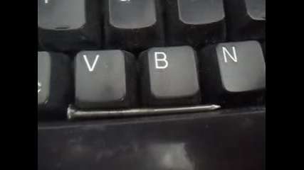 Sam_7212