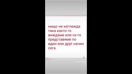 2024-11-17-145244322.mp4