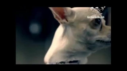 Премиера ! Виктория - Попитай направо (official Video) 2011
