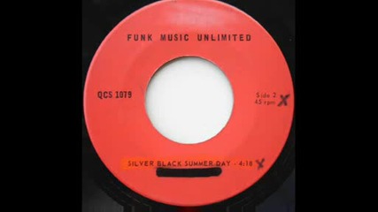 Living Funk - Silver Black Summer Day