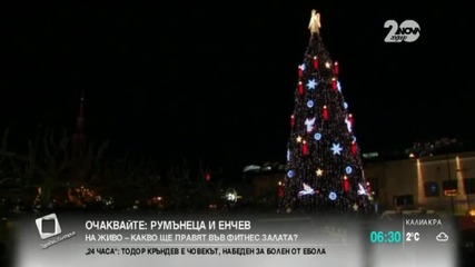 Дортмунд се радва на най-голямата коледна елха в света