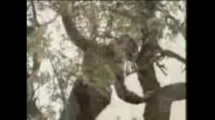 Return To Innocence