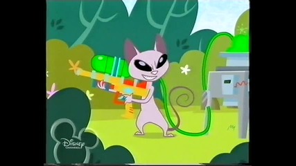 Kid Vs Kat 2010 (2)