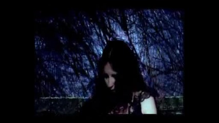 Stream Of Passion - Out In The Real World