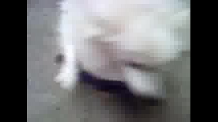Видео034.mp4