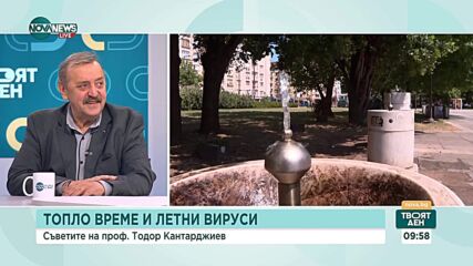 Опасна паразитна инфекция в Южна България: Проф. Кантарджиев за заплахата от лайшманиоза