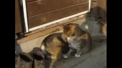 Best Friends