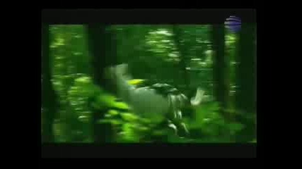 Глория и Азис - Прави любов а не война