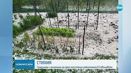 Градушка с големината на орех удари няколко населени места в Севлиевско