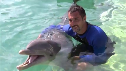 Miami 2015 - a Swimming With Dolphins