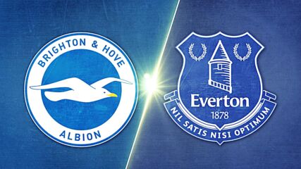 Brighton and Hove Albion vs. Everton - Game Highlights