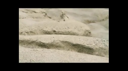 Alexandra - Nice in July