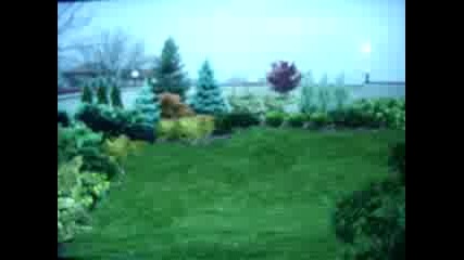 Визуализация