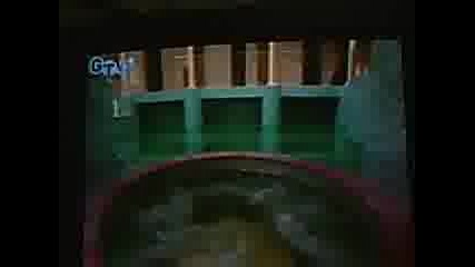 популярни хора и техните къщи