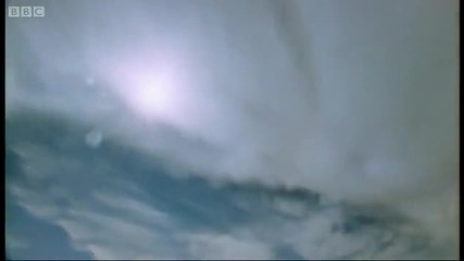 Life of Insects - Attenborough Life in the Undergrowth - Bbc 