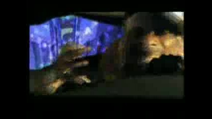 Snoop Dogg - Stop Light
