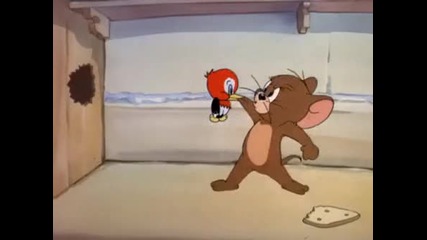 [hq] Tom and Jerry [hq]
