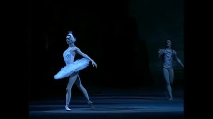 Swan Lake Scene Allegro Moderato Intrada