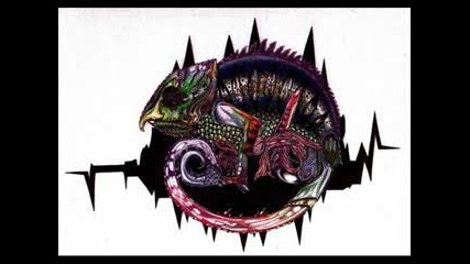 Calyptratus - Pc Crash 