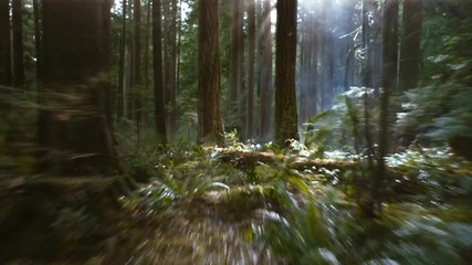 Twilight Breaking Dawn Part 2 - 2012 Movie - Official [hd]