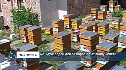 Пчеларите настояват за по-строг контрол при третирането на земеделските култури с препарати