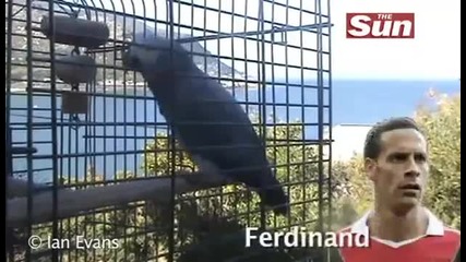Невероятно! Папагал казва отбора на Манчестър