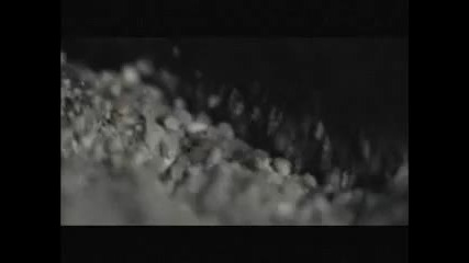 Norma Jean - Bayonetwork Vultures in Vivid Color 