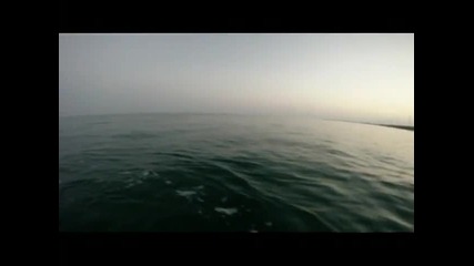 Луди глави,невероятно - Best Shark Attack