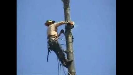 Пич с резачка - Смях