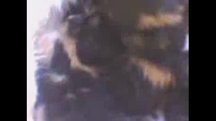 koteta 2