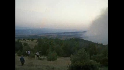 Да спасим горите от пожар