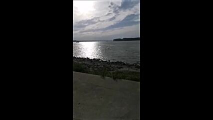 Video-(1631989801)