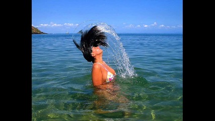 :*swimming with the Shark *:...