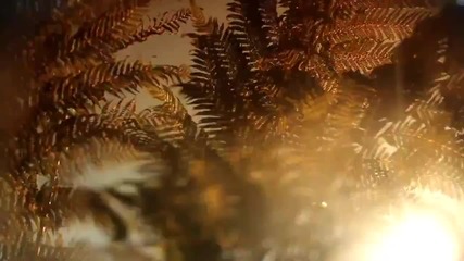 Bloxx - Sunrise - Official Video Clip