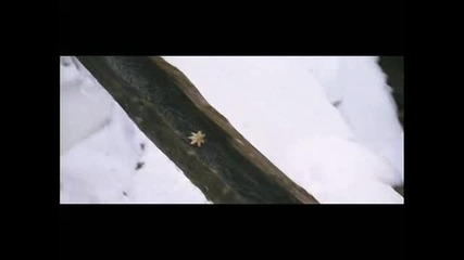 [ Trailer ] Trace of Love (2006)