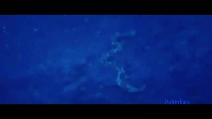 Blue Paths Of Love