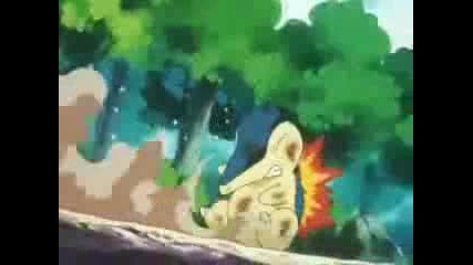Cyndaquil ~ Its my life 
